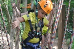 comp_DSC_5476