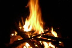DSCN0377