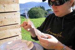 DSCN0400