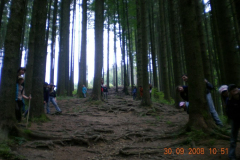 DSCN0522