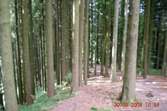 DSCN0529