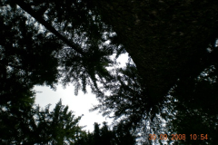 DSCN0530