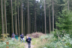DSCN0531