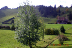 DSCN0614