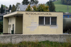 DSCN0661Z
