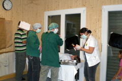 DSCN0864P