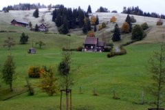 DSCN0865b
