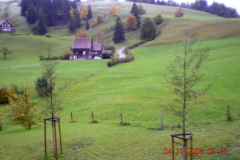 DSCN0997