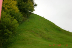 DSCN1001