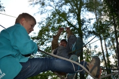 comp_DSC_1003