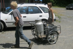 comp_IMG_1211