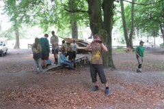 comp_IMG_1971