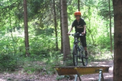 comp_IMG_1981