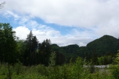 pfila132_0040