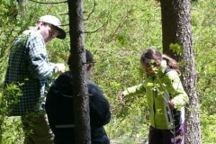 pfila132_0052