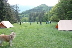 pfila132_0063