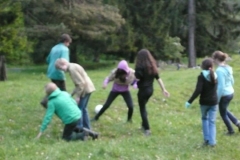pfila132_0070