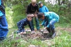 Pfila1Stufe2016070