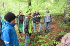 Pfila2016019