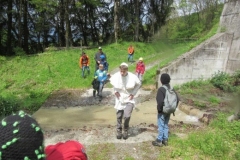Pfila2016052