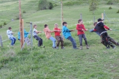 Pfila2017055