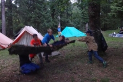 Pfila2018038