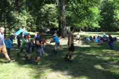 Pfila2018046