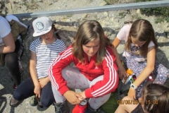 Pfila2019024