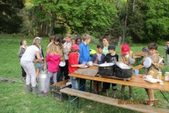 Pfila2019040