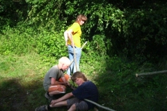 comp_IMG_1460