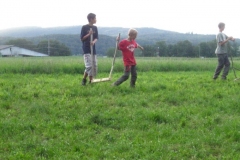 comp_IMG_1486