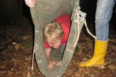 comp_IMG_1510