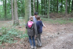 comp_IMG_1556
