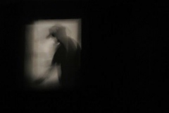 sola131_0087