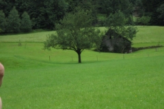 sola141_0534