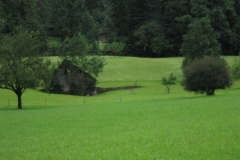 sola141_0535