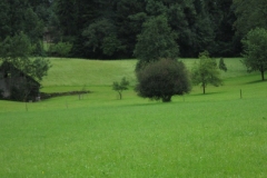 sola141_0536
