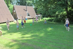 sola151_IMG_2409