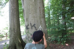 sola151_IMG_2454