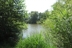 sola151_IMG_2456