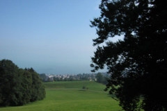 sola151_IMG_2511