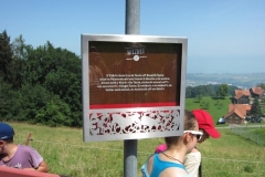 sola151_IMG_2514