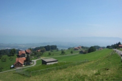 sola151_IMG_2519