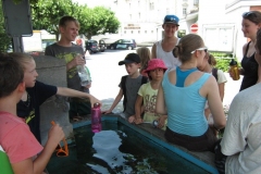sola151_IMG_2535