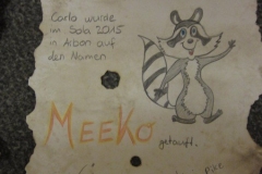 sola151_IMG_2557