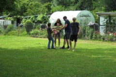 sola151_IMG_2688