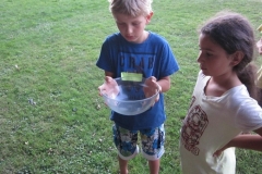 sola151_IMG_2907
