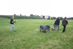 Sola2015064