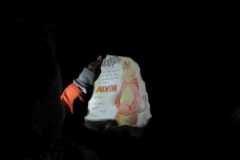 Sola2015295