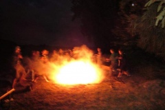 Sola2015323